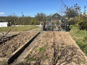Veg Patch- click for photo gallery